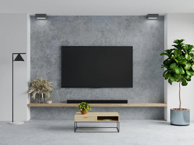 Professional TV Wall Mounting Products & Installation Services